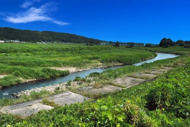 人口減少の中でさくら市が選んだのは、増やすことより「崩れない形」だったかもしれない
