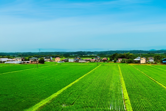 栃木県那珂川町の人口減少で地域のつながりはどう変わったのか考えてみた